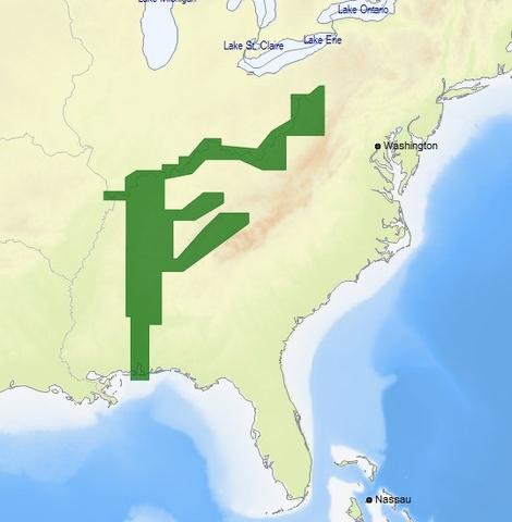 C-MAP M-NA-D039 4D microSD US Rivers OH, TN-Tom, Cumberland - M-NA-D039-MS
