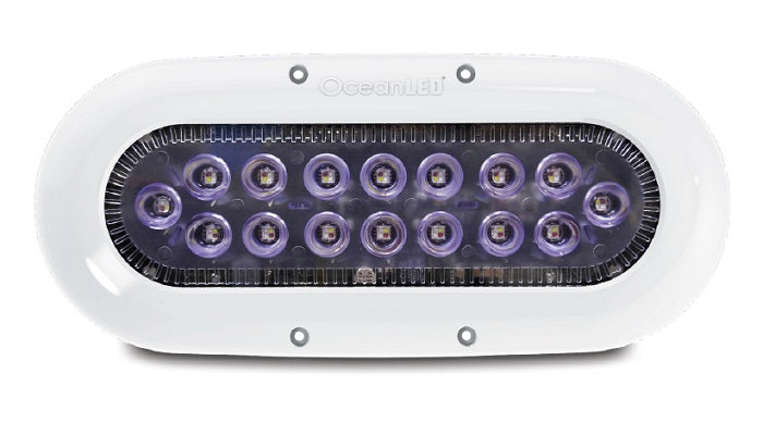 OceanLED X16 X-Series Ultra White LED - 012308W