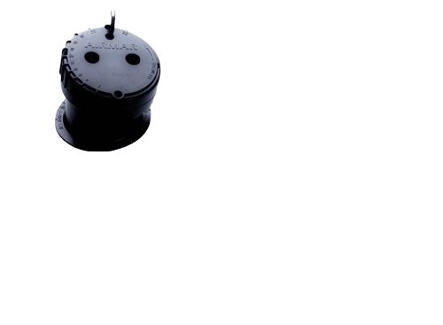 Raymarine P79 In Hull Transducer For Dsm300